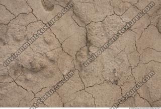 Photo Textures of Ground